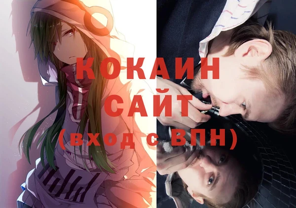 крисы Алзамай