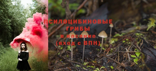 крисы Алзамай