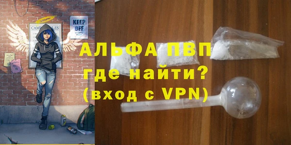 крисы Алзамай