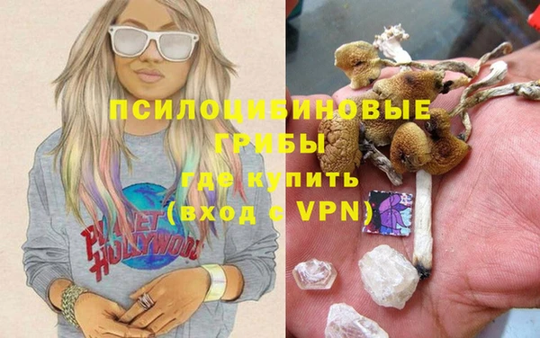 мяу мяу мука Алексин